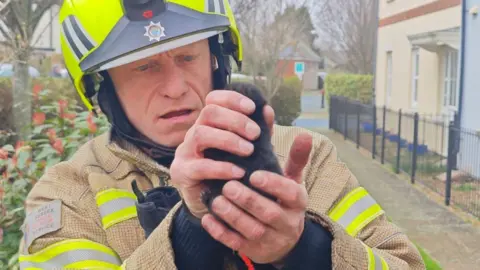 Eddie Mitchell A firefighter is holding a small kitten in his hands. He is standing near some residential properties.