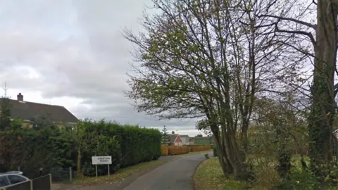 Google East Lound Road as it enters Owston Ferry with a sign for the town and hedges and trees on either side