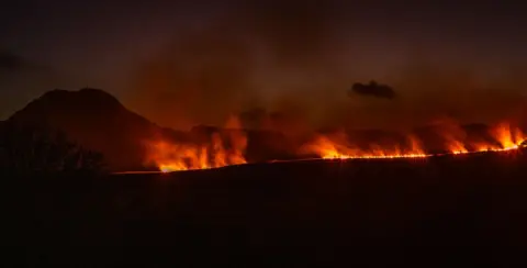 Tallorange flames  across a long line at nightime. the foreground is all black but the outline of a mountain can be seen in the background. 