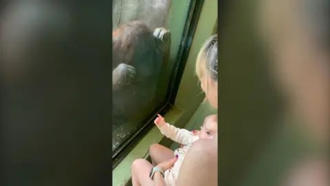 Nora Murphy breastfeeds her baby Elodi in front of Mujur the pregnant orangutan who watches through the glass of her enclosure.