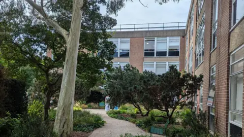 Large trees and plants outside Chapel Allerton Hospital