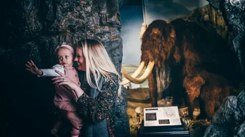 Museum Wales The woolly mammoth exhibition at the museum