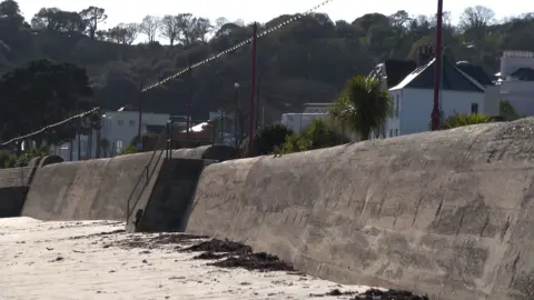 Sea defences with a beach in front and houses behind.