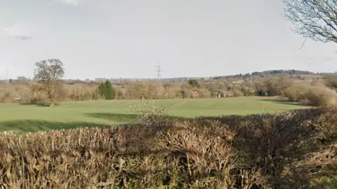 Green agricultural land with trees and an electricity pylon on the horizon