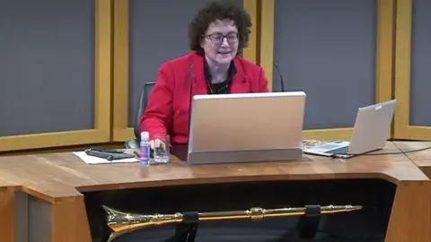 SENEDD Elin Jones