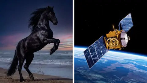 GUCCI /AI GENERATED IMAGES AI Generated images from Gucci , a black horse on a beach lifting up his front legs with a sunset in the background and a satelite seen from space.