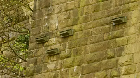 Jason Adshead Bird nesting boxes drilled into stone wall