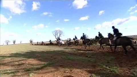 Foxhunters on horses in a line heading over a field towards the horizon line.  Blue sky and clouds in the background and a number of trees on the line of the horizon.