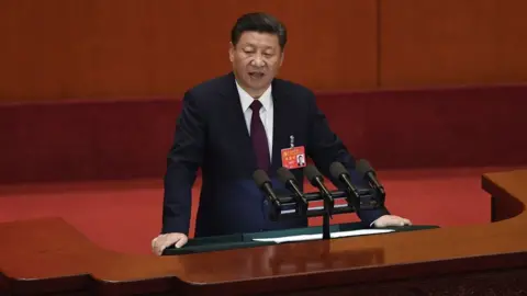 WANG ZHAO President Xi Jinping
