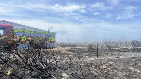 Richard Daniel/BBC Heathland that has been destroyed and burnt in a wildfire. A lone fire engine is parked in the area. It is a sunny and partly cloudy day.