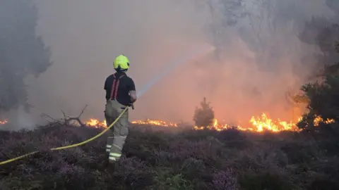 Suffolk Fire and Rescue Service A firefighter wearing a black T-shirt, overalls with hi-vis and a hi-vis helmet uses a hose as a wildfire burns in front of him. He is stood in heather and smoke can be seen rising above trees,