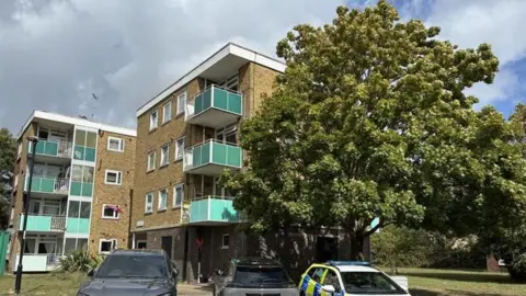 BBC A view of the block of flats on Cuckmere Lane in Southampton where the fatal fall took place. Resident cars and a police car are parked in front. It is sunny.