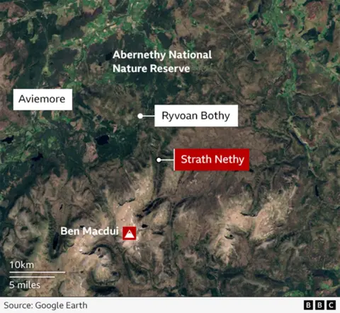 Satellite map of the Cairngorms area in Scotland showing the locations of Strath Nethy and Ryvoan Bothy within and near Abernethy National Nature Reserve. Aviemore is marked to the west, and Ben Macdui is shown to the south. A scale indicates 10 km (5 miles). Source: Google Earth/BBC.