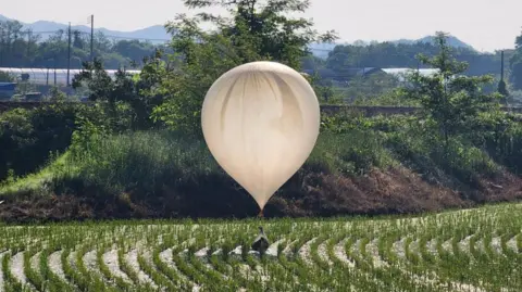 Reuters Ένα μπαλόνι που πιστεύεται ότι εστάλη από τη Βόρεια Κορέα, το οποίο μεταφέρει διάφορα αντικείμενα, συμπεριλαμβανομένων όσων φαινόταν να είναι σκουπίδια και περιττώματα, φαίνεται πάνω από έναν ορυζώνα στο Cheorwon της Νότιας Κορέας