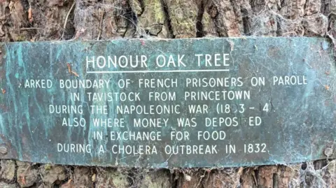 Tavistock Town Council An off-coloured greyish green rectangular plaque on a tree with cobwebs surrounding the edges. The plaque reads: Honour Oak Tree. Marked boundary of French prisoners on parole in Tavistock from Princetown during the Napoleonic War (1803-14). Also where money was deposited in exchange for food during a Cholera outbreak in 1832.