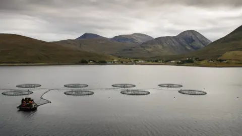 Getty Images Fish farm cages