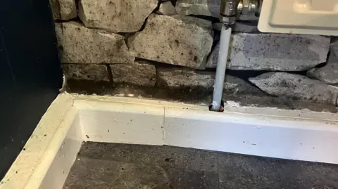 black furry mould has collected on the top of skirting board underneath a radiator