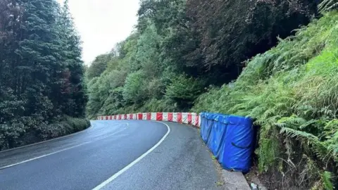 The road stretching round a bend into the distance at Glen Helen. There are blue and red and white crash barriers on the right and tall trees and green on both sides of the carriageway.