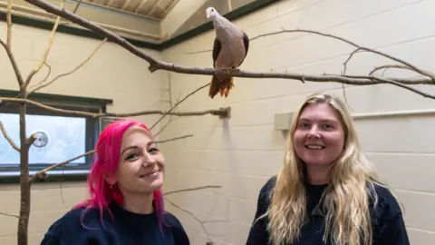 Paignton Zoo Nikki Watt (left) and Jess Shillabeer stand in a bird enclosure at Paignton Zoo. They are stood underneath a branch with a rare pink pigeon perched on it. Nikki has long pink hair along with a couple of piercings on her face. Jess has long blonde hair.