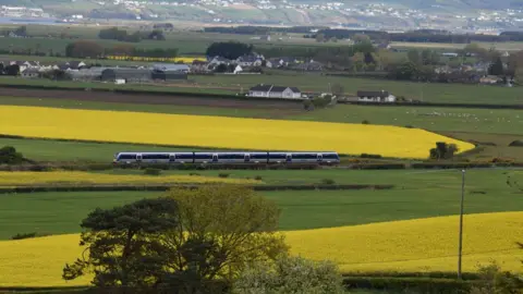 Desmond Kelly A NI Railway train travelling through a field surrounded by yellow flowers