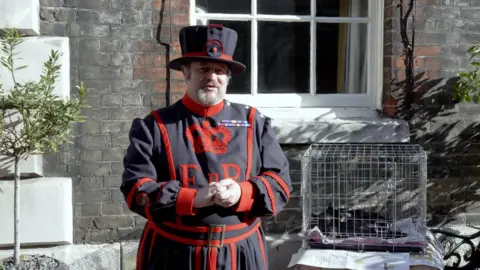 PA Media Ravenmaster