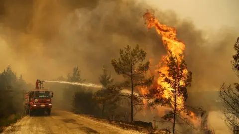 Reuters A firefighter extinguishes a forest fire near the town of Manavgat, east of the resort city of Antalya, Turkey