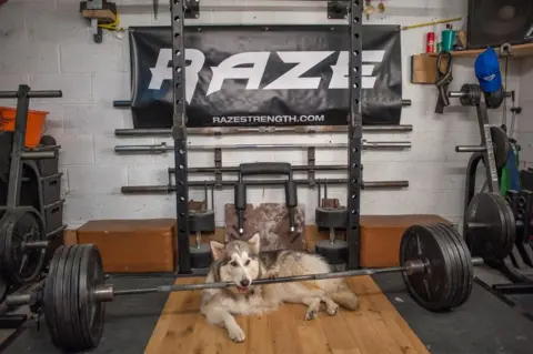 Richard Hancox Mikey's dog Mazikeen