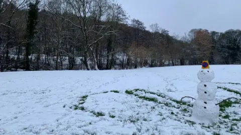 Oliver Wright/BBC Snow in Millhouses park