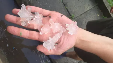 Myla/@myla_labrador/Twitter Hail in Sheffield