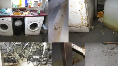 A series of images, presented as a collage, showing a dirty kitchen and dirty equipment as well as mouse droppings on the floor and other debris.