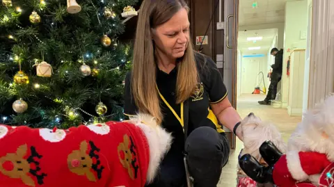 Nicola Haseler/BBC Helen squats down next to a decorated Christmas tree in Stagenhoe Park, ruffling the chins of Ralph and Zoe. Ralph appears to be wearing a red Christmassy jumper and Zoe looks up at Helen affectionately. Helen wears a black T-shirt with the yellow logo for Therapy Dogs Nationwide.