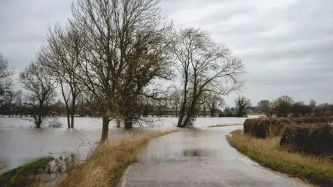 A rural road and fields are flooded with trees sticking out of the flood water.