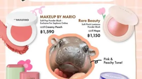 Sephora Thailand/Instagram Screenshot from an Instagram post showing two blush products with a photo of Moo Deng underneath.