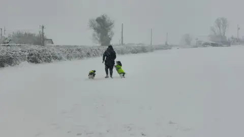 A person walking with two small dogs in a field covered in snow