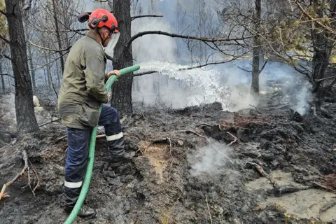 Malcolm Smith A person wearing protective clothing holds a large, green hose spraying out water in an area of fire-damaged woodland.