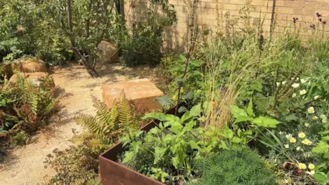 A close up of the outdoor garden alongside a light-coloured brick wall on the right. A gravel path winds through the planting, creating a walkway from the lower right foreground into the middle of the garden.