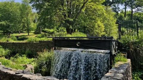 A waterfall surrounded by a natural stone wall, with mature leafy trees in the background and green meadows.