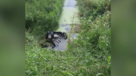 Cambridgeshire Constabulary Large green bushes with a ditch in the middle. The ditch is filled with water with a green film on it. The bottom center of the photo shows the rear two tires of a sinking car. The car is with its nose in the water and o