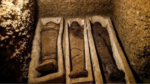 AFP mummies in stone coffins