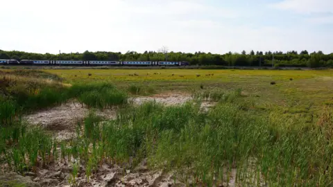 Helen Mulroy/BBC A grass field by a railway line in Wixams, Bedfordshire 