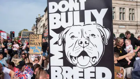 Getty Images Bully XL ban protest placards