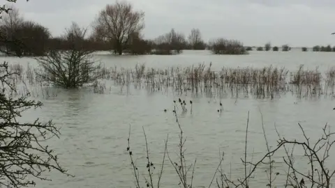 Jill Bennett/BBC Flooding in the Fens