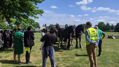 Wandsworth Council Draught horses in a park, people look on