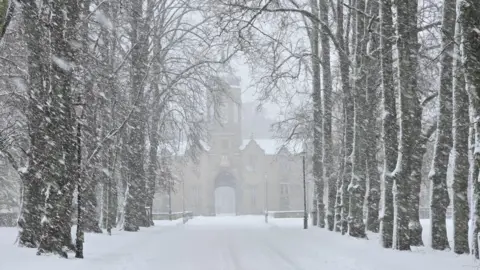 Derek/BBC Weather Watchers A stately building with a turret, obscured by fast-falling snow, at the end of a road lined with trees