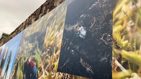 A close up image of a panel of photos.