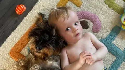 Facebook Oakley Barnett, lying on a colourful rug with a small brindled dog beside him, head to head. He is a toddler with blonde hair and is looking up. 