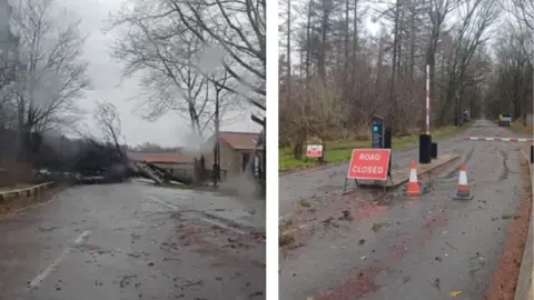 Forestry England Two pictures showing storm damage. On the left trees and debris block a road. On the right a sign and orange cones show a road closure.