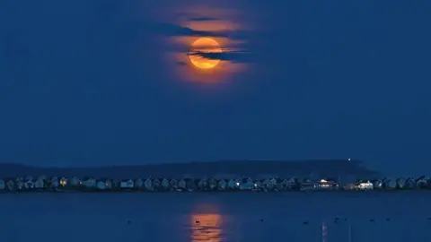 Chris Cowell Stanpit Marsh, Christchurch