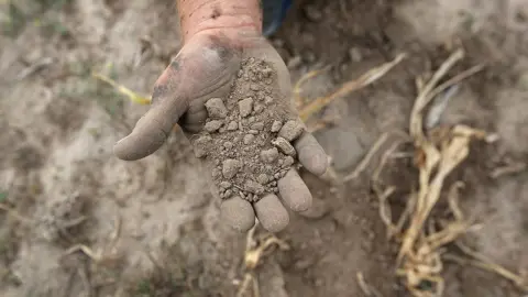 Getty Images soil
