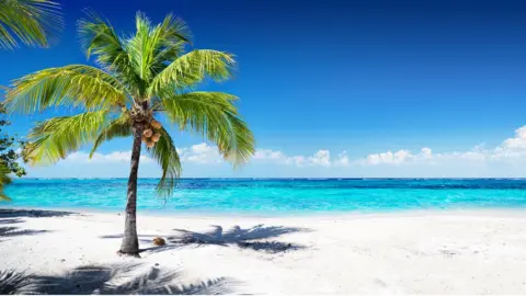 Getty Images A Caribbean beach with white sand and a palm tree